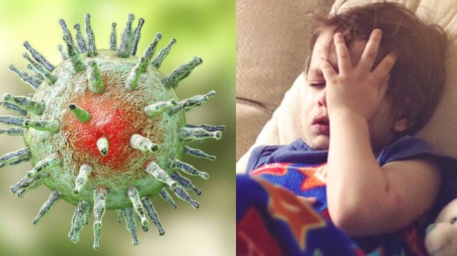 loimodis-monopyrinosi-se-exarsi-to-fainomeno-amp-8211-poia-ta-symptomata-amp-8211-pos-tha-profylachtheite-87578