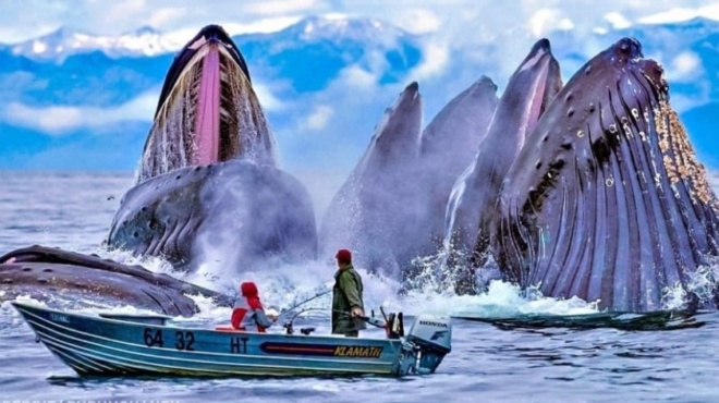 23-fotografies-poy-travichtikan-mesa-se-deyterolepta-kai-mas-charisan-monadikes-stigmes-gia-mia-zoi-67532