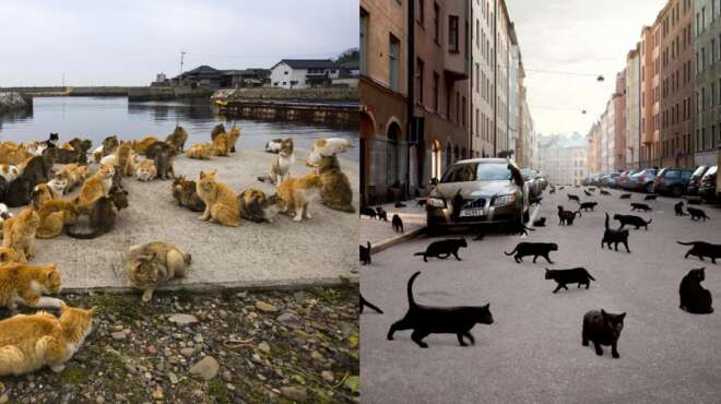 10-perierga-gegonota-poy-ligoi-gnorizan-kai-sigoyra-tha-itheles-na-ta-gnorizeis-kai-esy-107645