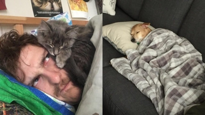 27-nystagmena-zoa-poy-apokoimithikan-sta-pio-apithana-simeia-kai-mas-amp-8220-eklepsan-amp-8221-tin-kardia-68098