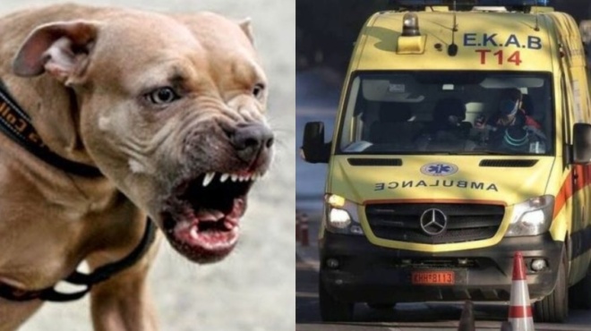 sygklonizei-i-35chroni-ioanna-meta-tin-agria-epithesi-apo-pitmpoyl-amp-8211-fovithika-oti-tha-pethano-sta-dontia-toy-72416