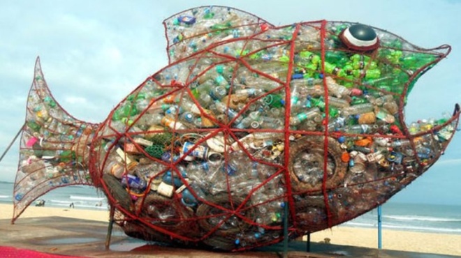 ena-psari-poy-to-elegan-gkompi-mia-panexypni-idea-gia-na-sothoyn-oi-thalasses-apo-ta-plastika-82651