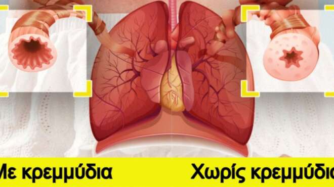 5-simantika-ofeli-gia-tin-ygeia-mas-otan-vazoyme-se-kathimerini-vasi-ta-kremmydia-sti-diatrofi-mas-106125