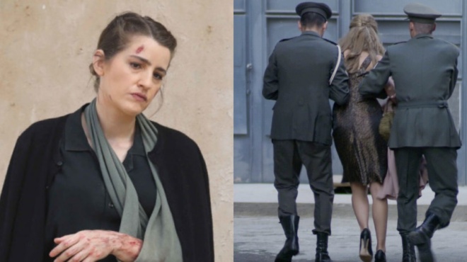 agries-melisses-epomena-epeisodia-i-syllipsi-tis-drosos-o-traymatismos-tis-lenios-kai-to-misos-toy-voskari-14707