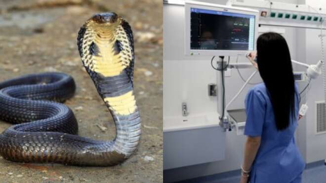 athina-25chronos-diasolinothike-se-meth-meta-apo-dagkoma-kompras-amp-8211-eiche-17-fidia-sto-spiti-toy-105997