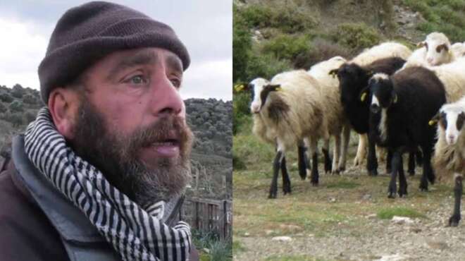 dakrya-apegnosmenoy-ktinotrofoy-sti-mytilini-klevoyn-kai-sfazoyn-ta-zoa-mas-109086