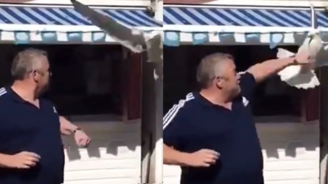 peinasmenos-glaros-pige-na-toy-parei-to-santoyits-kai-ton-plakose-stis-mpoynies-72925