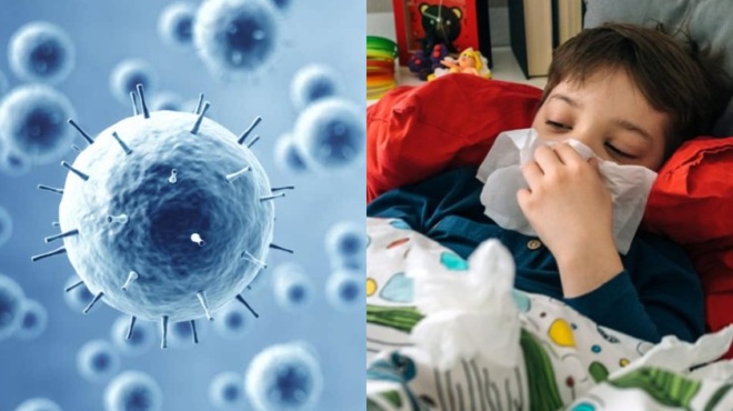 epochiki-gripi-2020-se-exarsi-to-fainomeno-poia-ta-symptomata-pos-tha-profylachtheite-54460