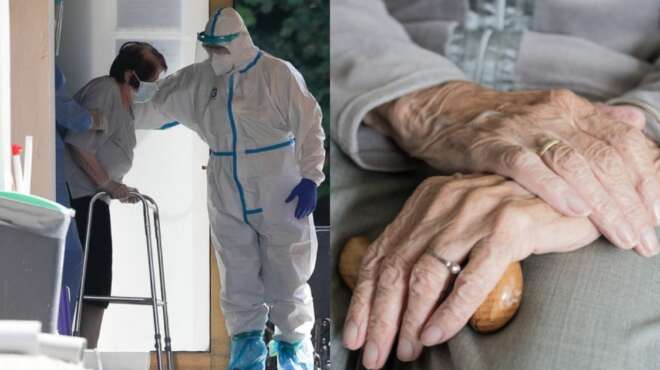 girokomeio-toy-thanatoy-sta-chania-toys-psekazan-me-entomoktona-toys-afairoysan-ta-chrysa-dontia-92554