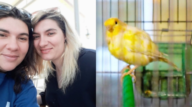 i-dimitra-pispirigkoy-ppodose-tin-aderfi-tis-etsi-tin-patise-i-royla-me-to-kanarini-amp-8211-ego-den-akoysa-poyli-50543