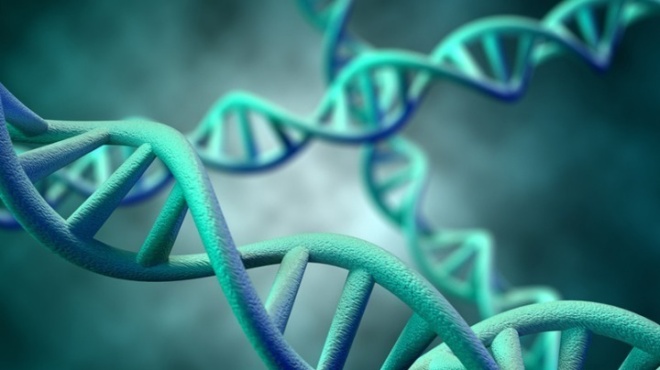 koronoios-pos-enochopoioyntai-perissotera-apo-1-000-gonidia-gia-sovari-covid-19-29935