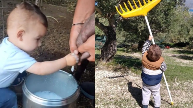 mazeyei-elies-amp-038-armegei-provata-2chronos-pitsirikas-stin-kriti-trelainei-to-diadiktyo-me-tis-drastiriotites-toy-4094