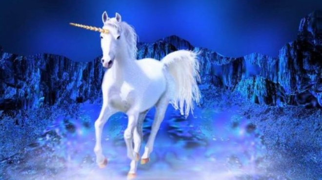 monokeros-tis-sivirias-etsi-emoiazan-oi-pragmatikoi-monokeroi-kai-den-echoyn-kamia-schesi-me-ta-mythika-aloga-61901