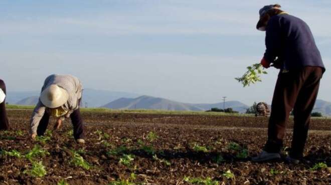 opekepe-nees-pliromes-se-chiliades-agrotes-101480