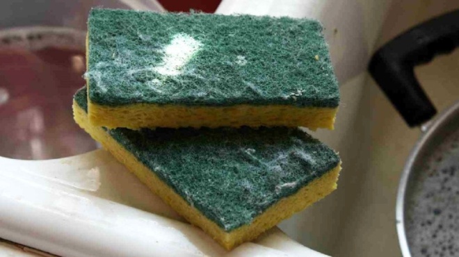 to-sfoyggaraki-gia-ta-piata-einai-gemato-vaktiria-amp-8211-pos-na-to-apolymanete-se-3-lepta-63771