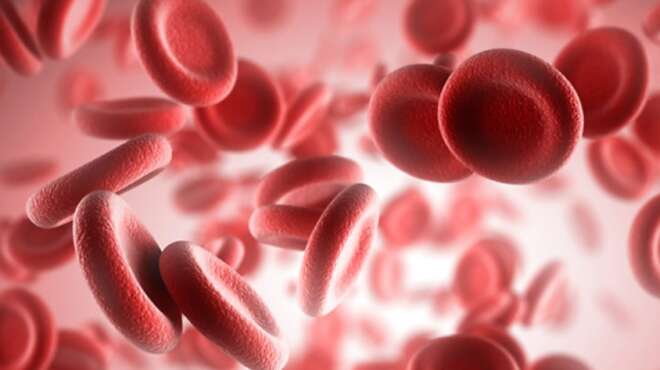 simera-17-04-pagkosmia-imera-aimorrofilias-100256