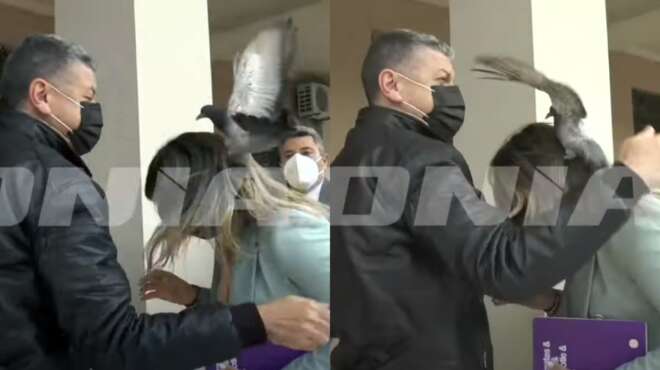 sofia-zacharaki-peristeri-kanei-epithesi-stin-yfypoyrgo-toyrismoy-kai-ginetai-viral-92259