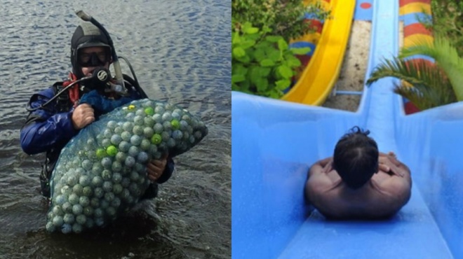 dokimastis-skylotrofon-kai-alla-9-paraxena-epaggelmata-poy-plironoyn-poly-kala-chrimata-61653