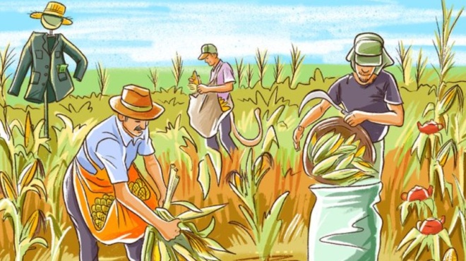 posa-lathi-vlepeis-se-aytes-tis-eikones-to-test-paratiritikotitas-poy-kaneis-den-katafernei-na-lysei-18417