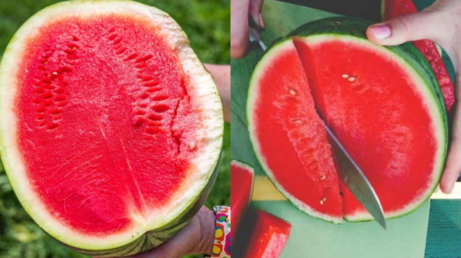 to-amp-8220-mustiko-amp-8221-poy-xeroyn-ligoi-ti-prepei-na-prosexete-otan-agorasete-karpoyzi-choris-koykoytsia-8561