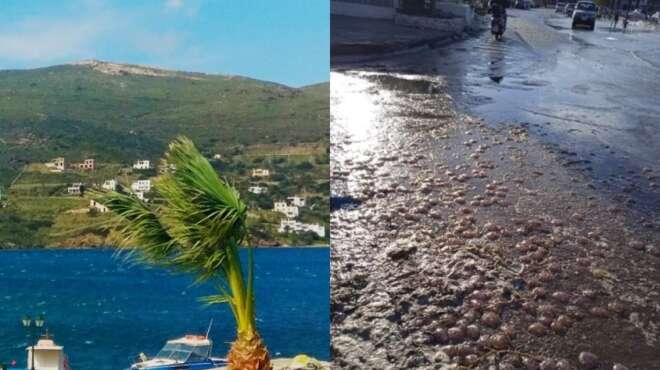 tsoychtres-ston-dromo-apo-to-mini-tsoynami-antikrisan-oi-katoikoi-stin-andro-99583