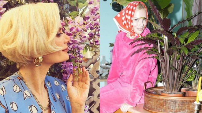 gemato-keria-kai-alithina-fyta-moschovolaei-panta-fagito-i-elena-christopoyloy-echei-to-pio-zesto-kai-mamadisio-spiti-116452