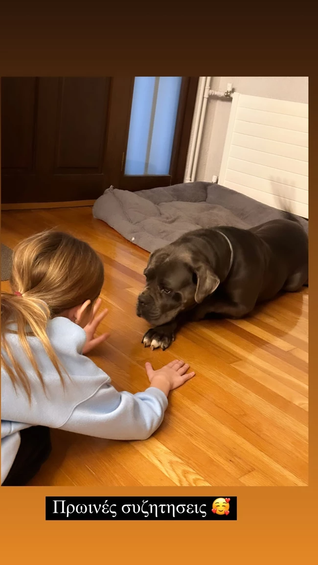 Εύα Τσιμιτσέλη σκύλος 