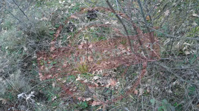 Κωστής Πολύζος δολοφονία 