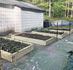 Το μικρό σπίτι στο λιβάδι