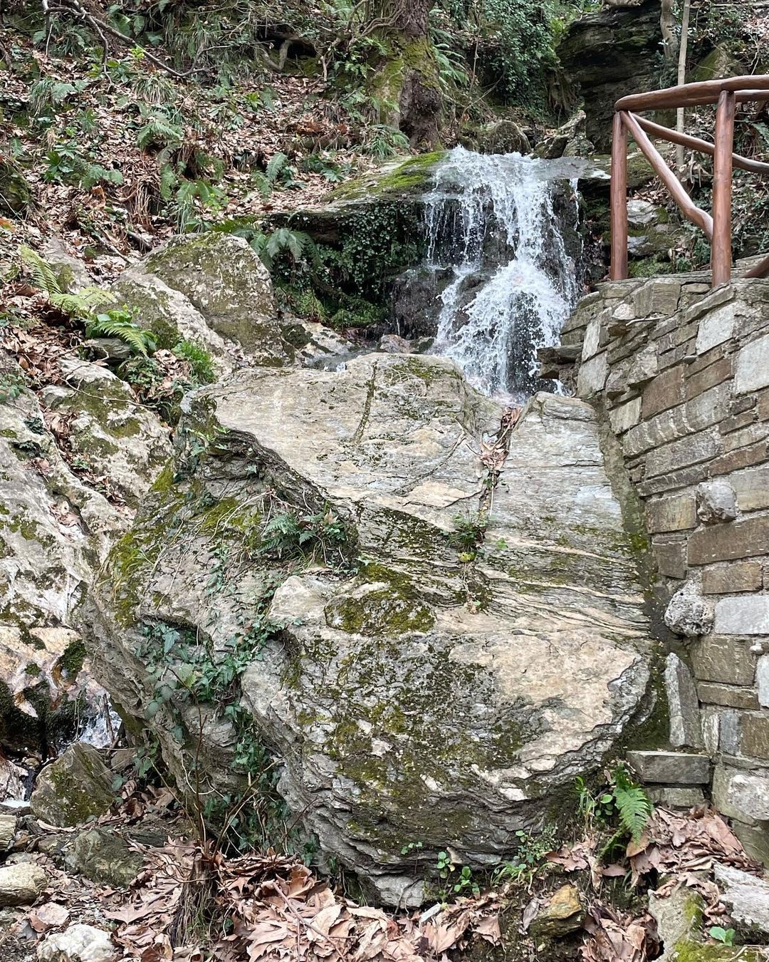 Χρύσα Μιχαλοπούλου