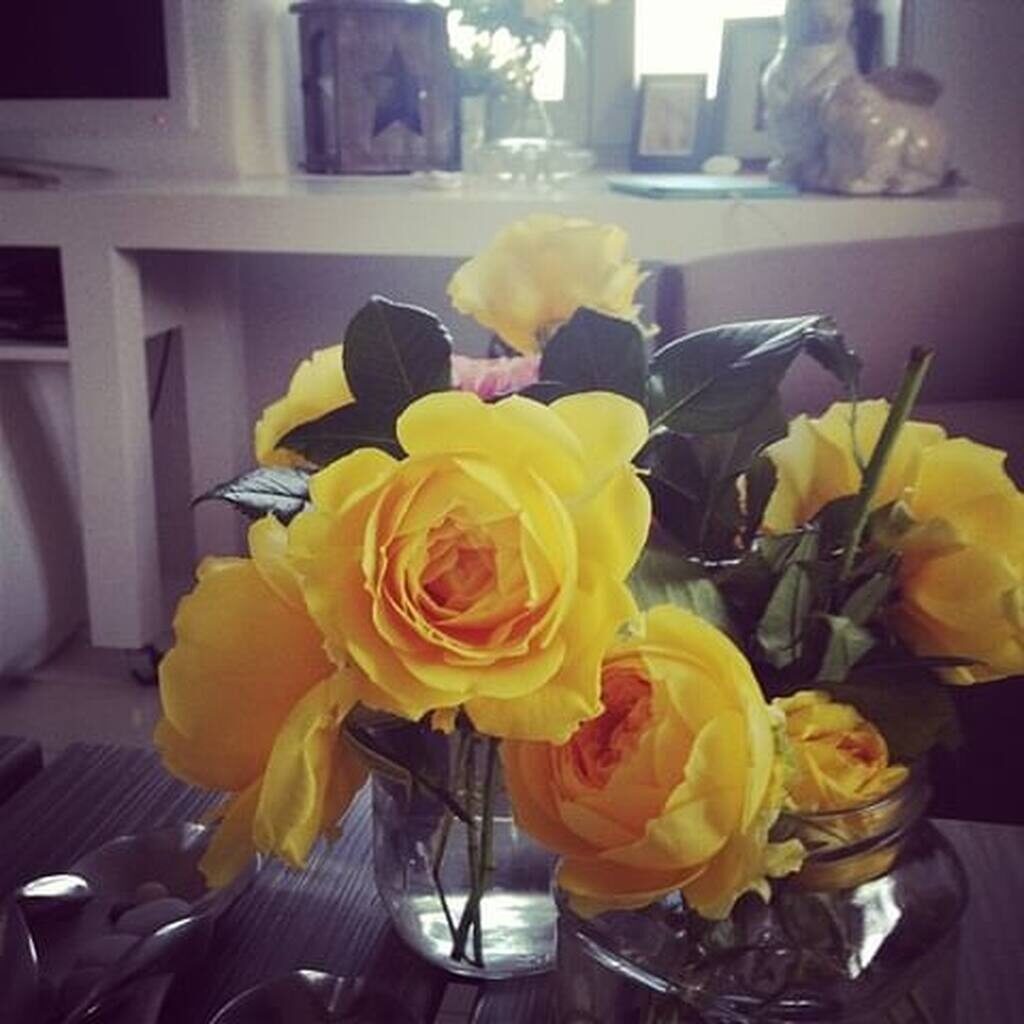 Σοφία Αλιμπέρτη σπίτι 