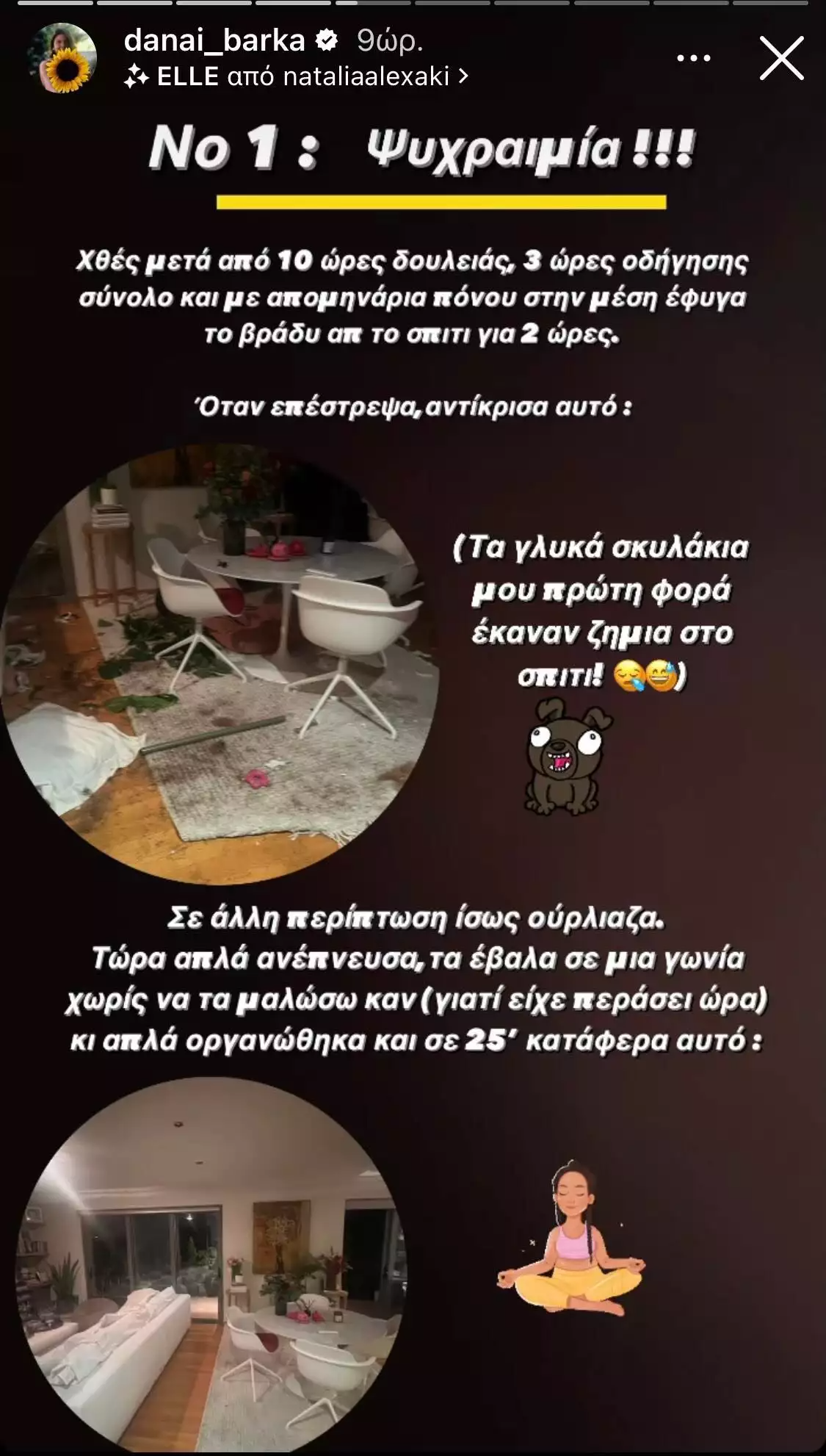 Δανάη Μπάρκα διαπίστωση 