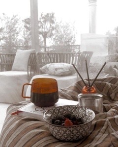 Δανάη Μπάρκα