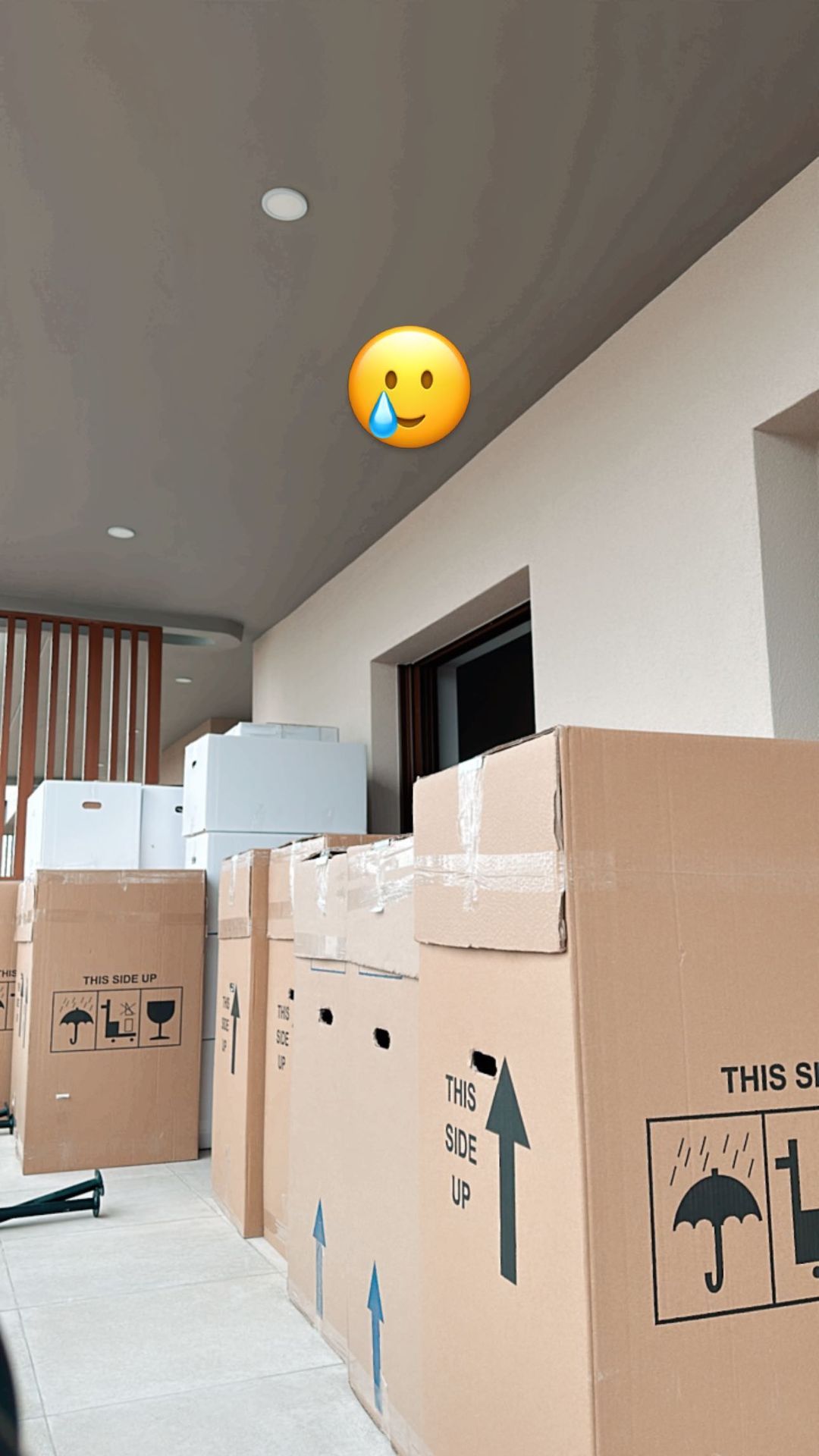 Ιωάννα Τούνη μετακόμιση 