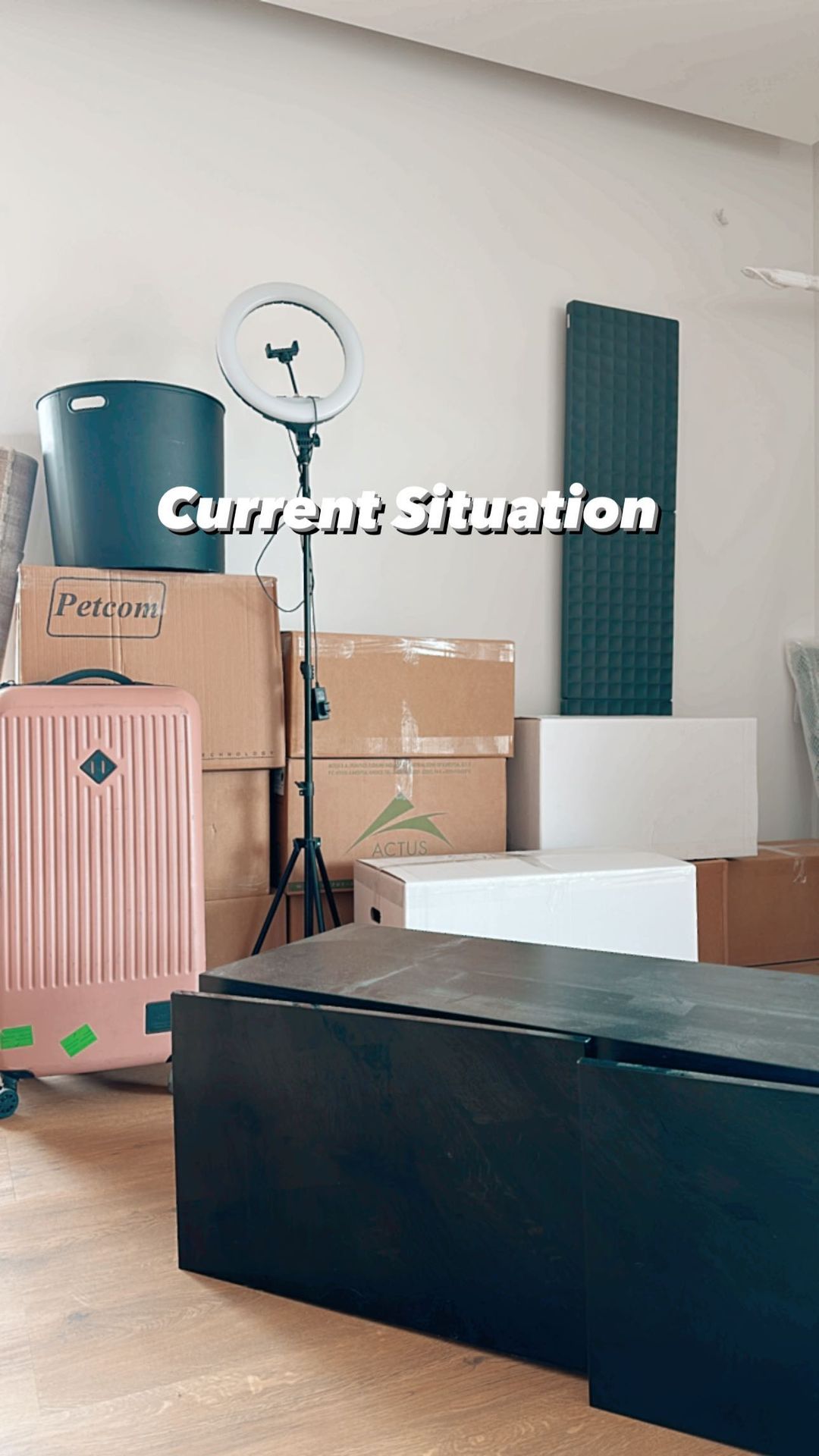 Ιωάννα Τούνη μετακόμιση 