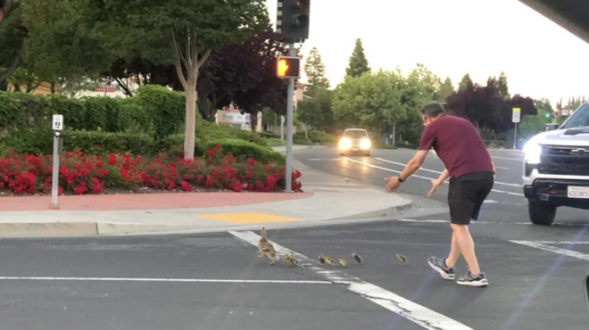 tragikos-thanatos-41chronoy-patera-stamatise-na-prostatepsei-papies-ston-dromo-kai-epese-epano-toy-aytokinito-153316