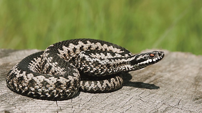 stin-entatiki-to-4chrono-koritsi-meta-to-dagkoma-ochias-ta-neotera-gia-tin-ygeia-tis-164459