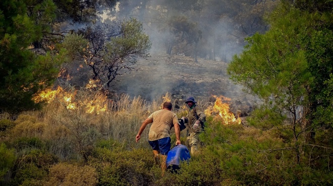 praxi-anthropias-epicheirimatias-sti-rodo-prosferei-xaplostres-gia-ypno-amp-038-dorean-fagito-stoys-pligentes-apo-ti-fotia-171024