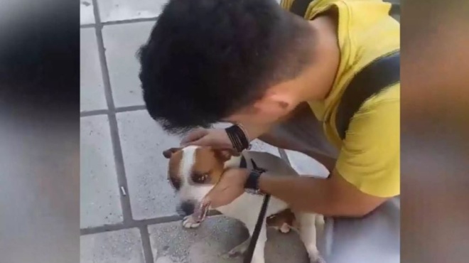 nearos-thessalonikios-xanasmigei-me-ton-chameno-skylo-toy-meta-apo-5-chronia-amp-038-oi-eikones-kanoyn-to-gyro-toy-diadiktyoy-166184