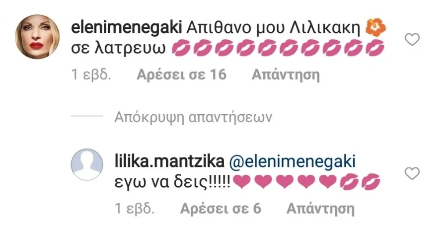 Ελένη Μενεγάκη instagram