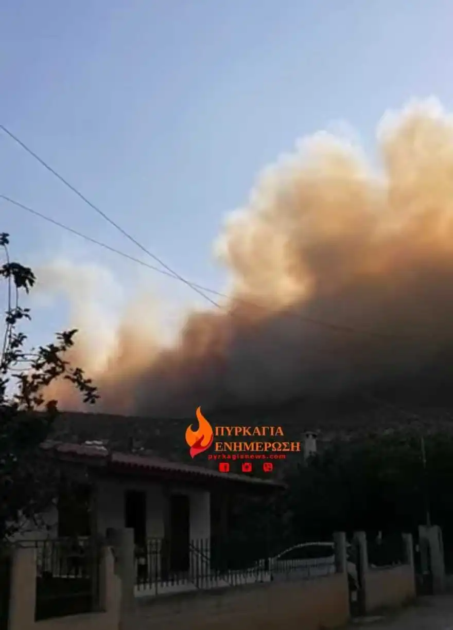 Ηλικιωμένος βοσκός έχασε τη ζωή του στη φωτιά της Βοιωτίας 