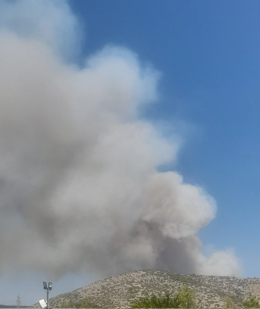 Η φωτιά στη Φυλή απειλεί σπίτια 