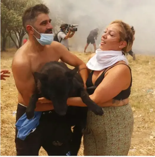 Ο Τάσος Μπαλάσκας στη φωτιά της Παρνηθας 