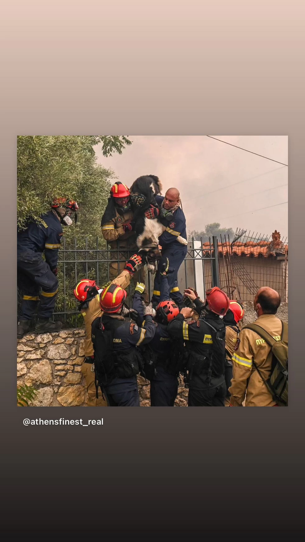 Το ξέσπασμα της Εριέττας Κούρκουλου 