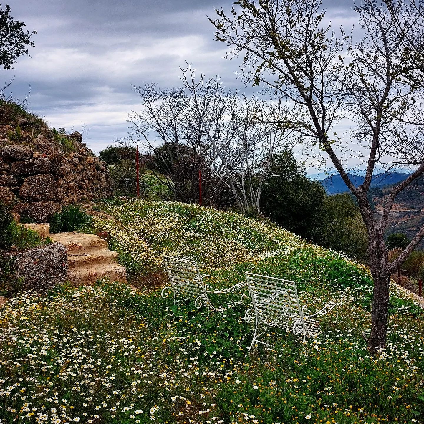 Μαρία Λεκάκη