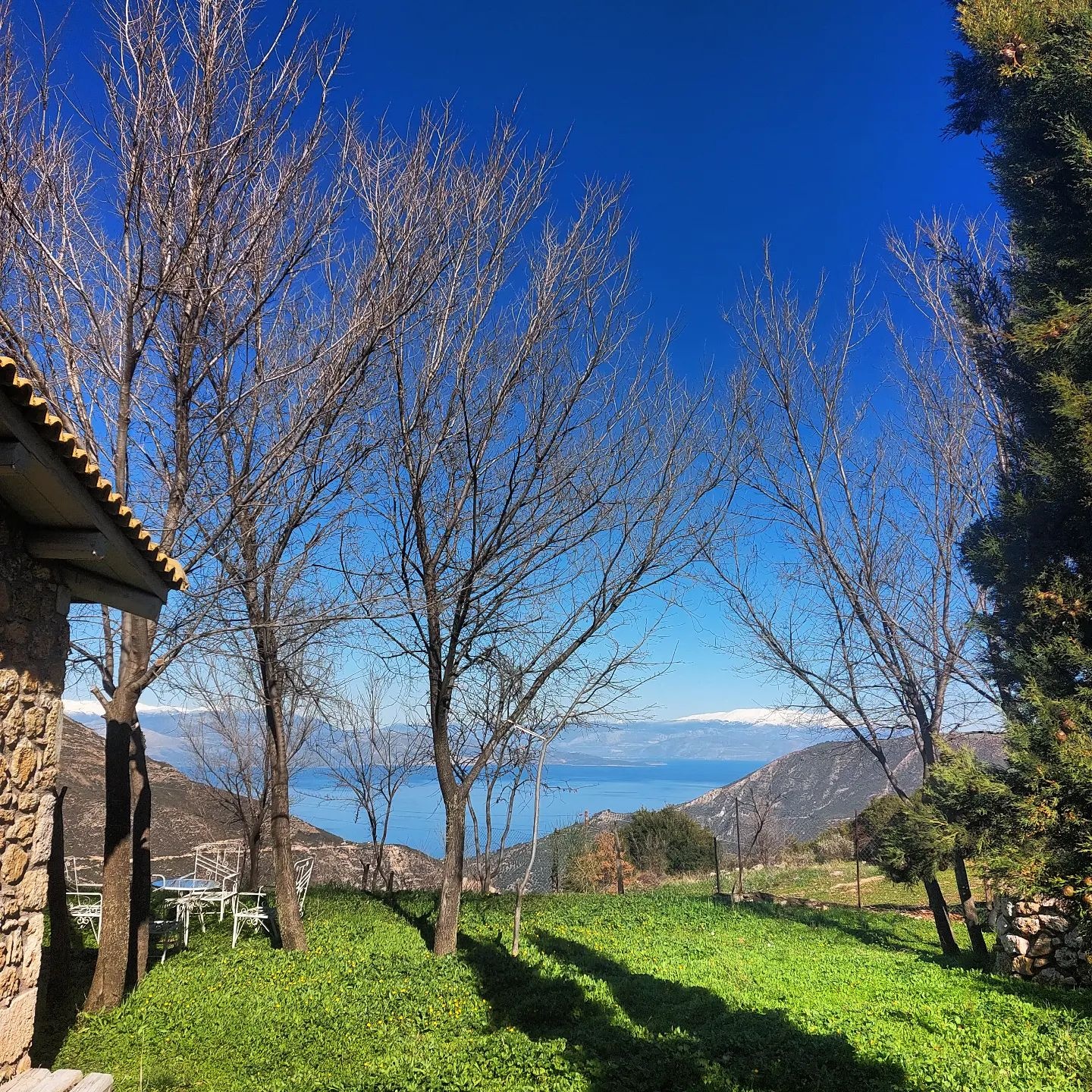 Μαρία Λεκάκη