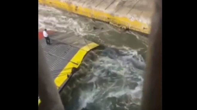 amp-8220-den-itan-amea-eiche-kapoio-provlima-stin-omilia-amp-8221-xespa-o-aderfos-toy-36chronoy-antoni-etsi-emathe-gia-tin-tragodia-185012