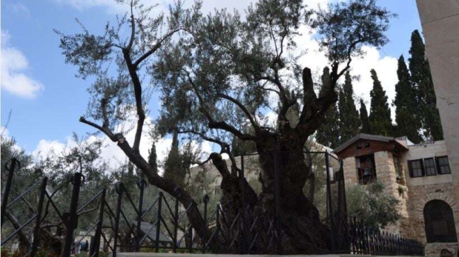 sti-dimosiotita-gia-1i-fora-o-ieros-topos-opoy-proseychithike-gia-teleytaia-fora-o-christos-prin-tin-martyriki-stayrosi-202359