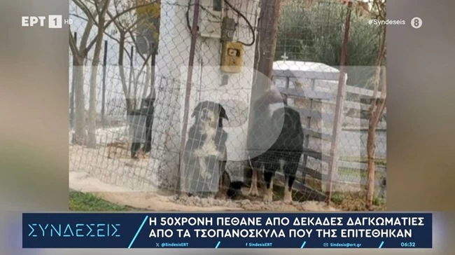 Τα σκυλιά που δάγκωσαν την 50χρονη Ελισάβετ 