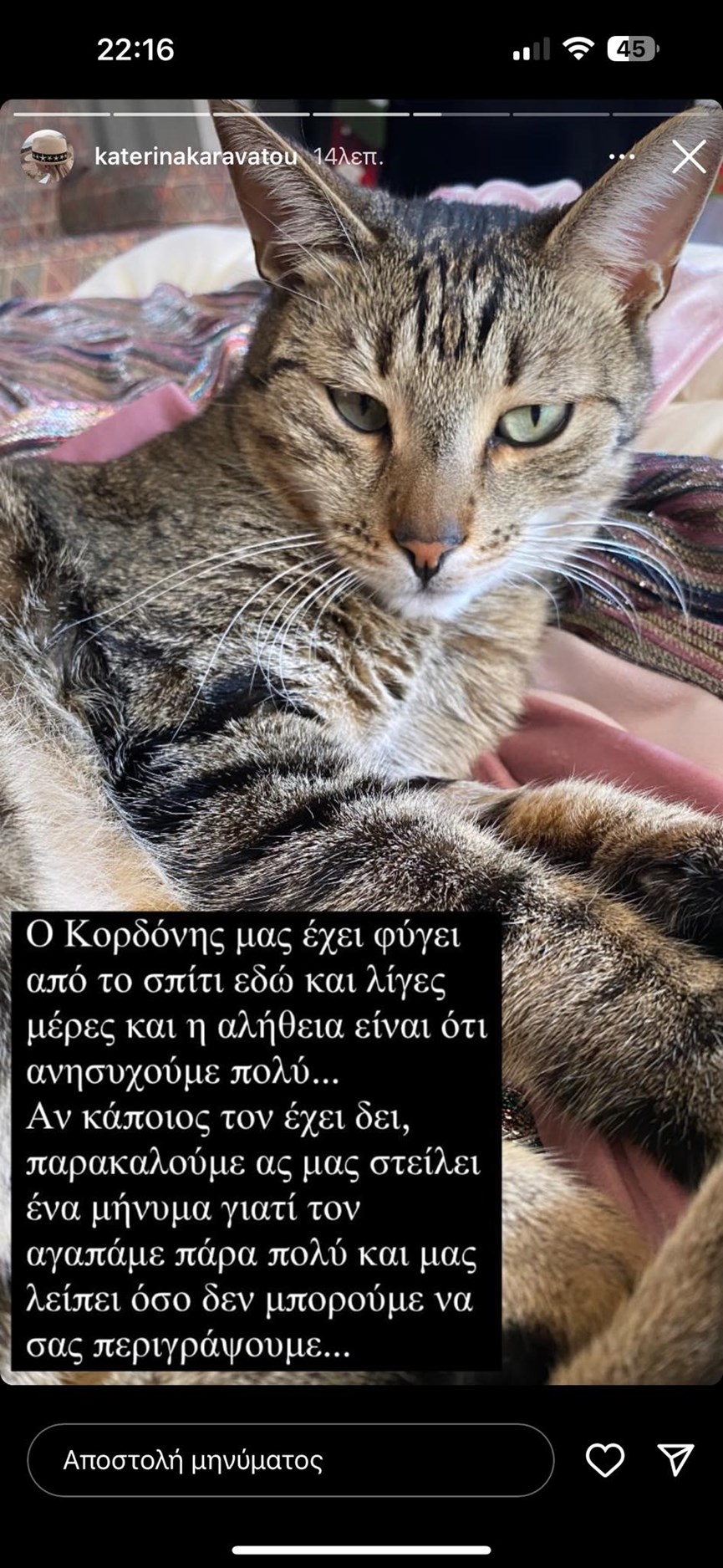 Κατερίνα Καραβάτου ανάρτηση